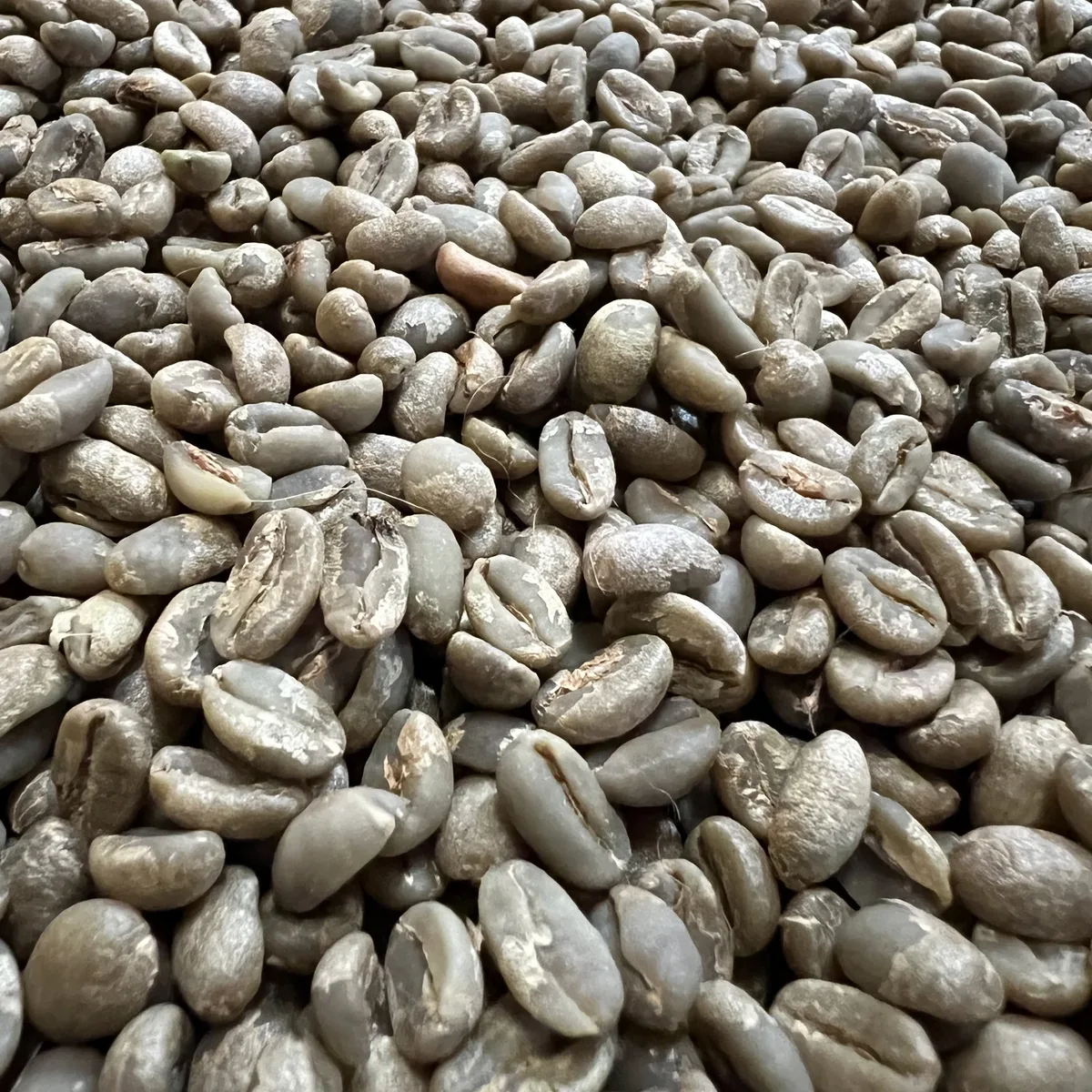 Green Yirgacheffe coffee beans